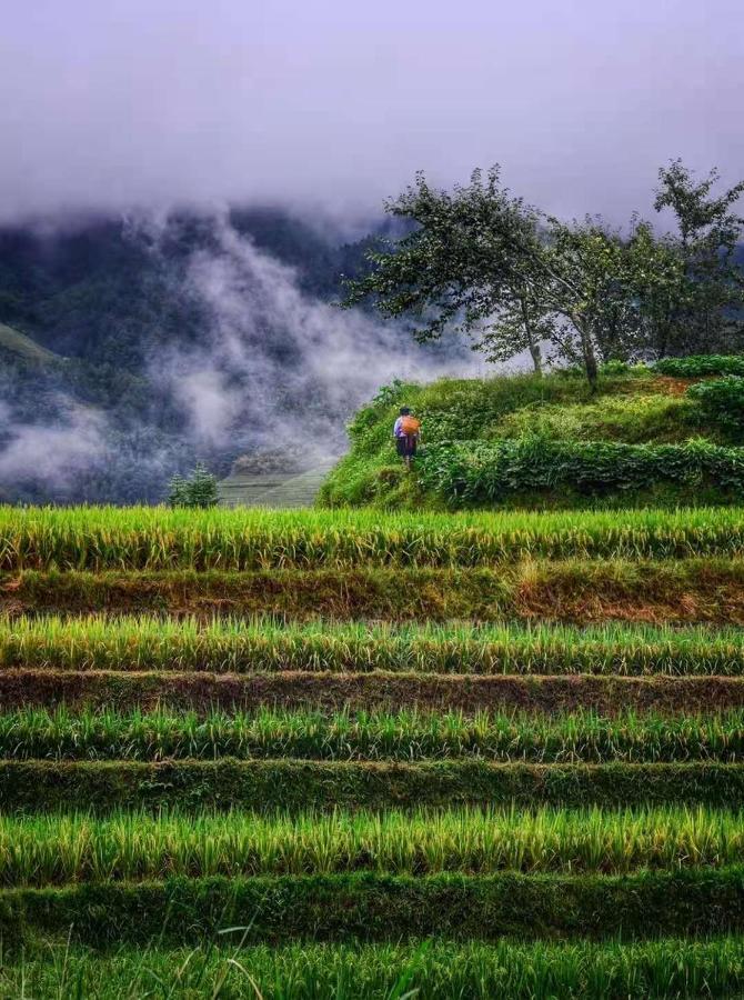 Longji Terrace La Vie Inn 竜勝 エクステリア 写真