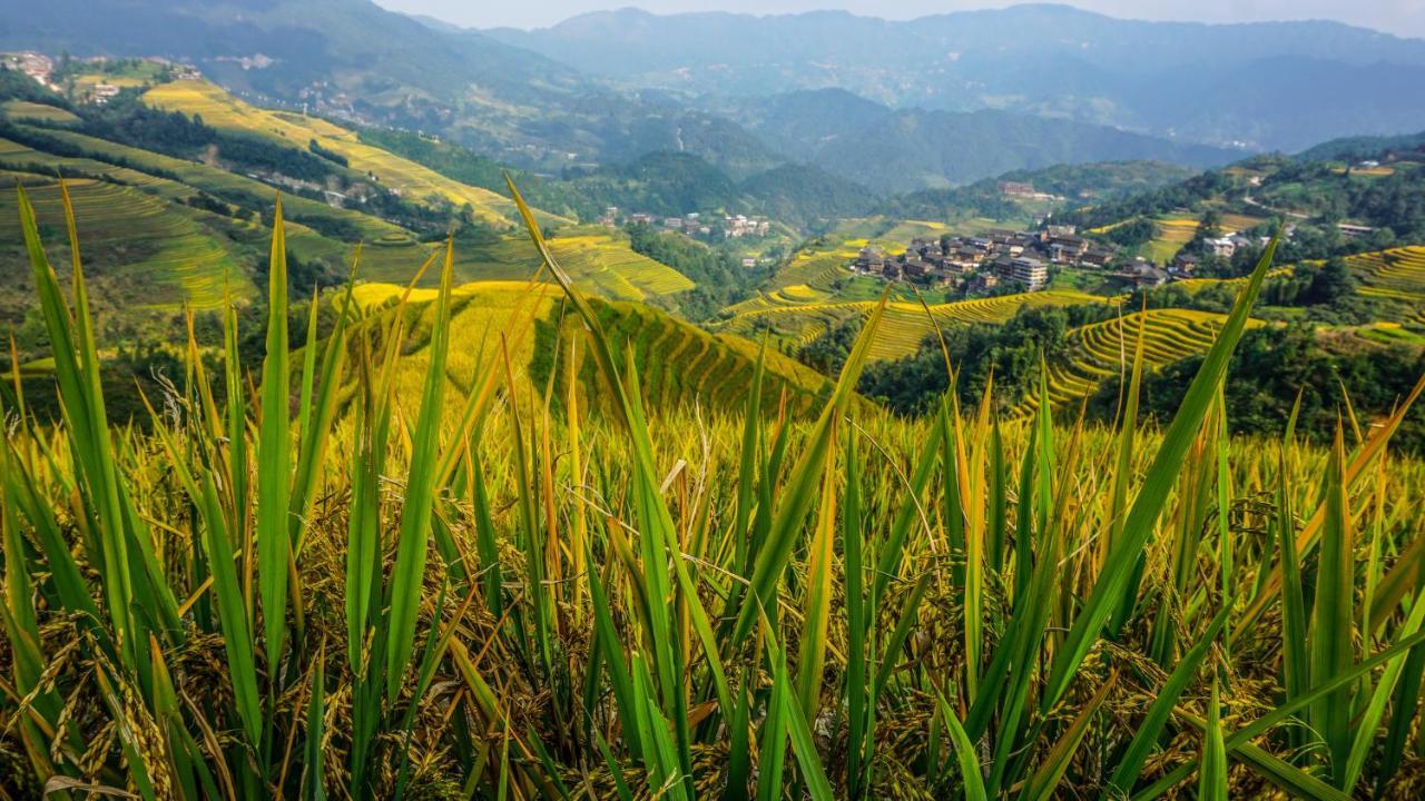 Longji Terrace La Vie Inn 竜勝 エクステリア 写真