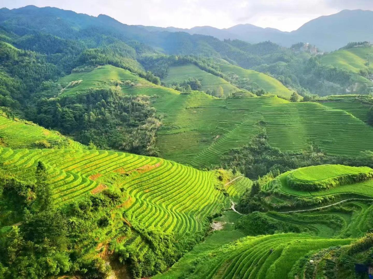 Longji Terrace La Vie Inn 竜勝 エクステリア 写真